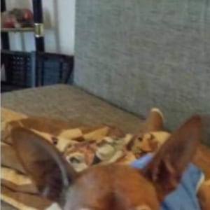 No photo for Wally