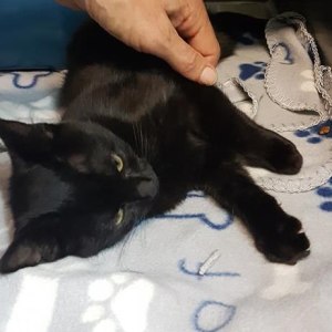 No photo for Zimba Special Home Needed