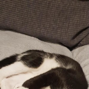 No photo for Luna