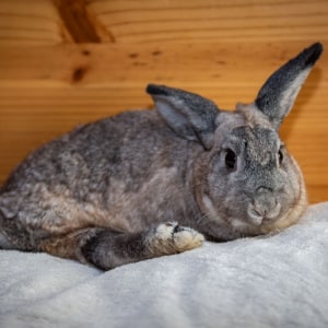 No photo for Bonnie **No More Calls Please**