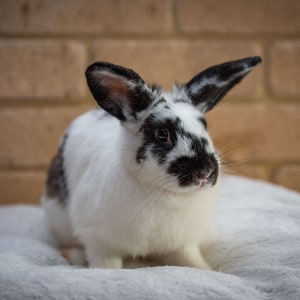 No photo for Miss Booful **On Trial With My New Family**