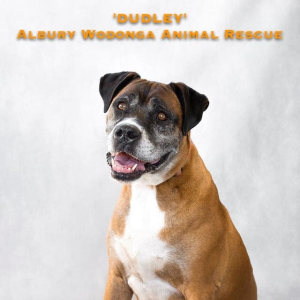 No photo for Dudley & Archer
