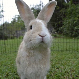No photo for Seymour