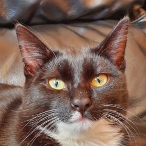 No photo for Neo (Located In Narre Warren)