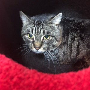 No photo for Marcus Meet Me In Cat Lounge/Neko Hq Preston