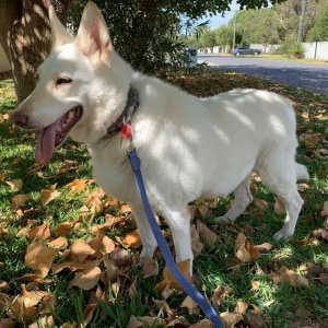 No photo for Keira * On Trial With My New Family *