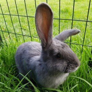 No photo for Red **On Trial With My New Family**