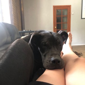 No photo for Rufus