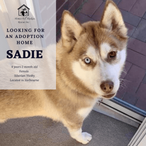 No photo for Sadie