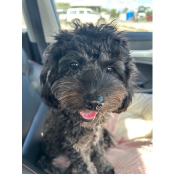 M1hulq1ti9odhzhdvjyk