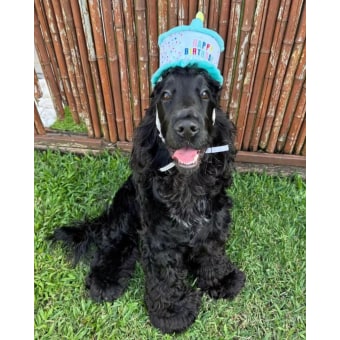 Jf2smkuh9gkfes1p9rav