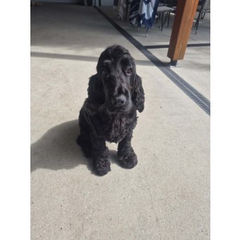 Oknontv3s1euy2nkhwd1