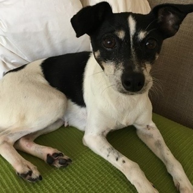 Sophie