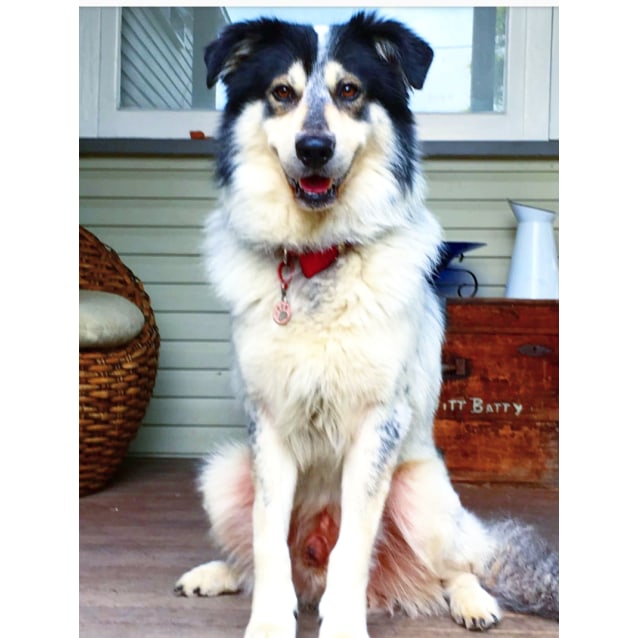 walmart kit and kaboodle