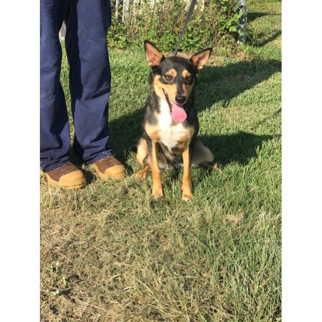 Rescue Rescue
