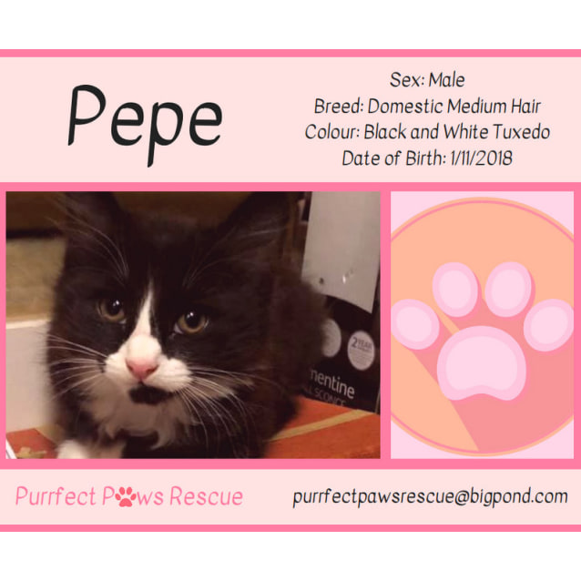 petrescue