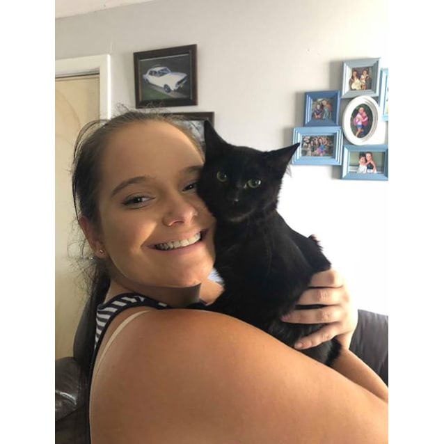 Aria Female Domestic Short Hair Cat In Nsw Petrescue