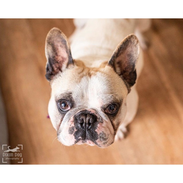 Download Marnie Wazowski Checking Out Her New Home Small Female French For Android Free Wallpaper Marnie Wazowski Checking Out Her New Home Small Female French HD