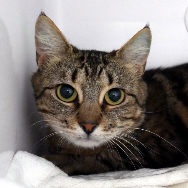 Photo of Penny Sua006021