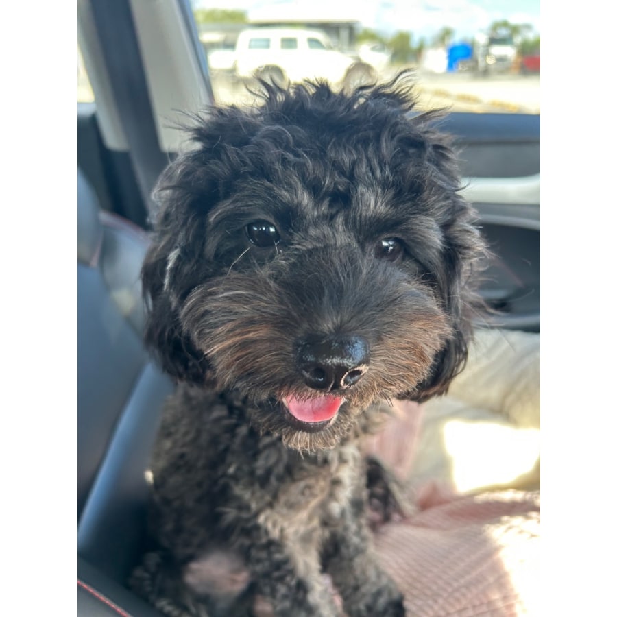 M1hulq1ti9odhzhdvjyk