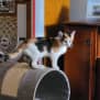 Photo of Lulu