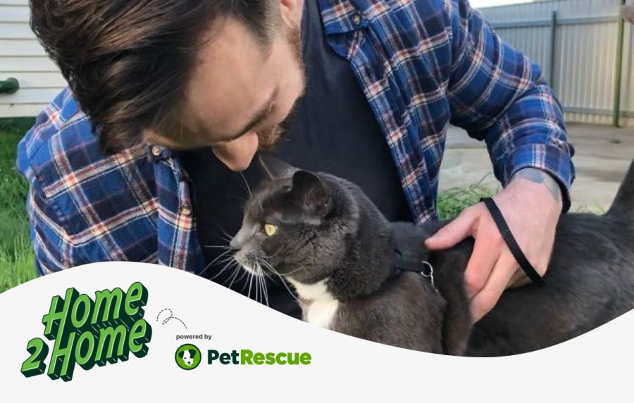 Home2Home For Vets PetRescue
