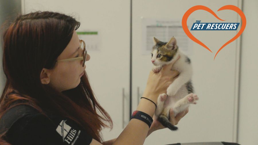 Season 2 of The Pet Rescuers is here! PetRescue
