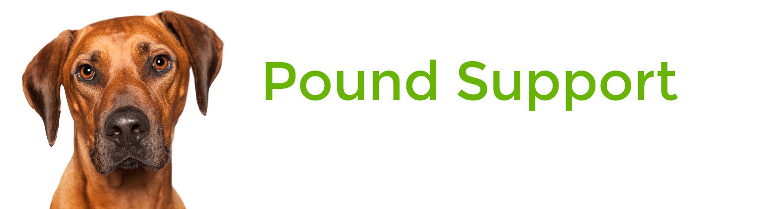 Pound Support
