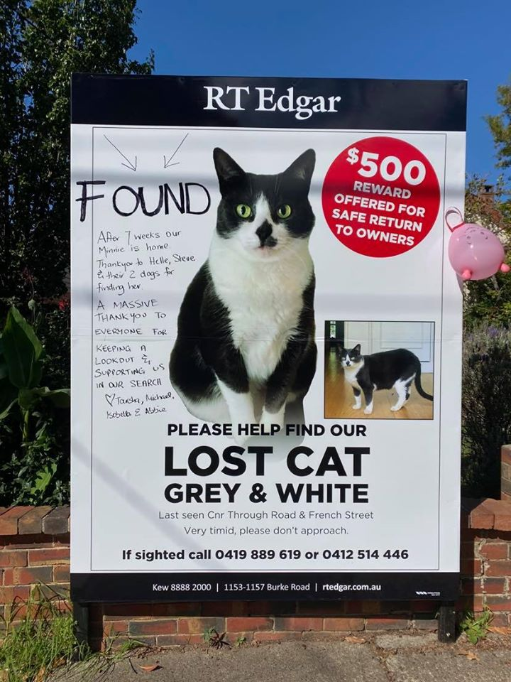 giant street billboard with missing cat's image