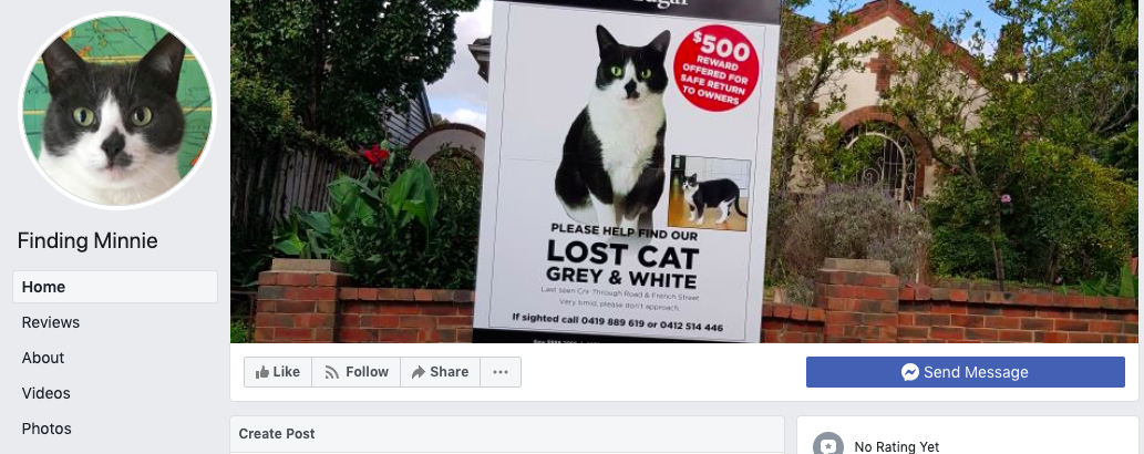 snapshot of a facebook page for a missing cat 