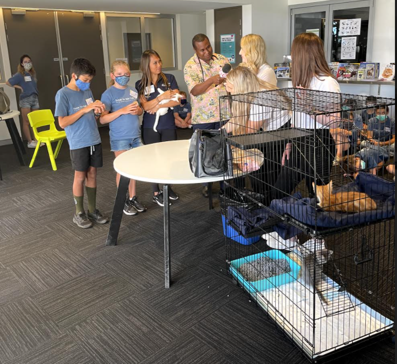 a group of children, people and kittens in cages