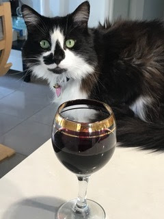 cat with a wine glass near her