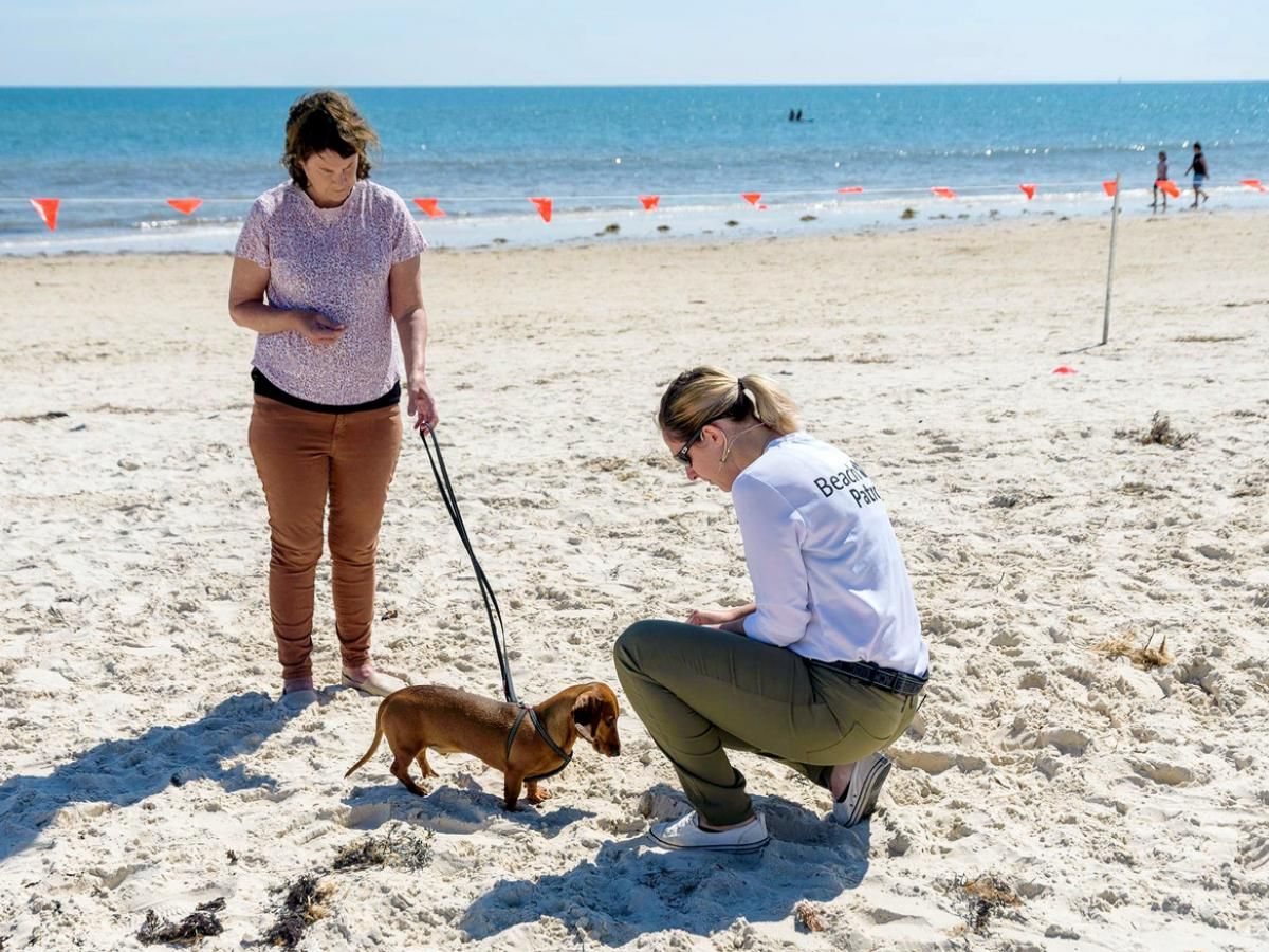 A woman with her dog chat to a Beach Patrol officer on the foreshore.