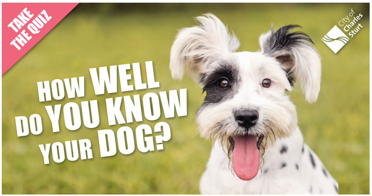 The City of Charles Sturt's Dog Body Language Quiz banner