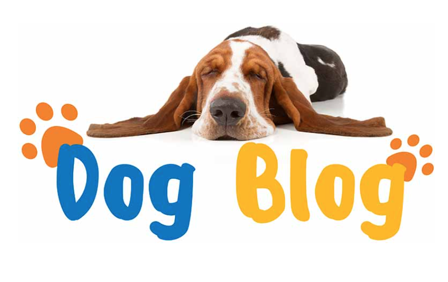 The City of Charles Sturt's Dog Blog Banner
