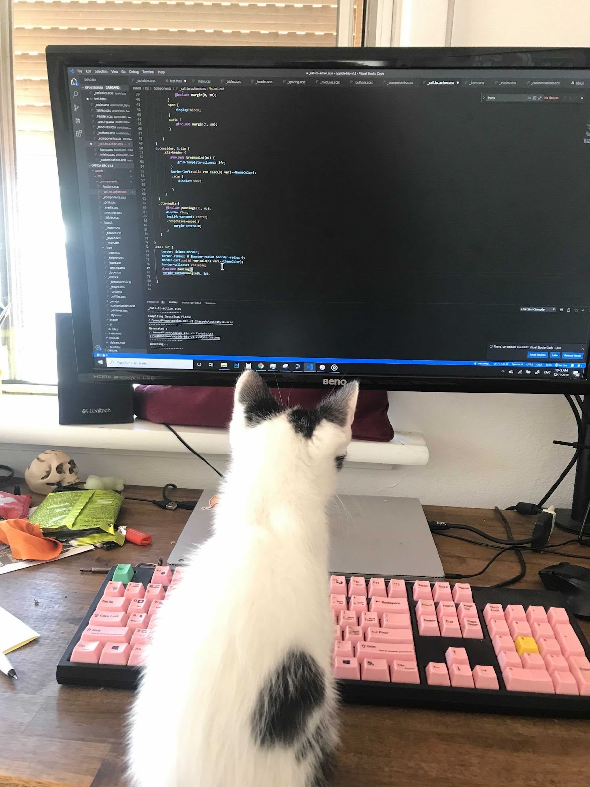 a white and black kitty on a keyboard