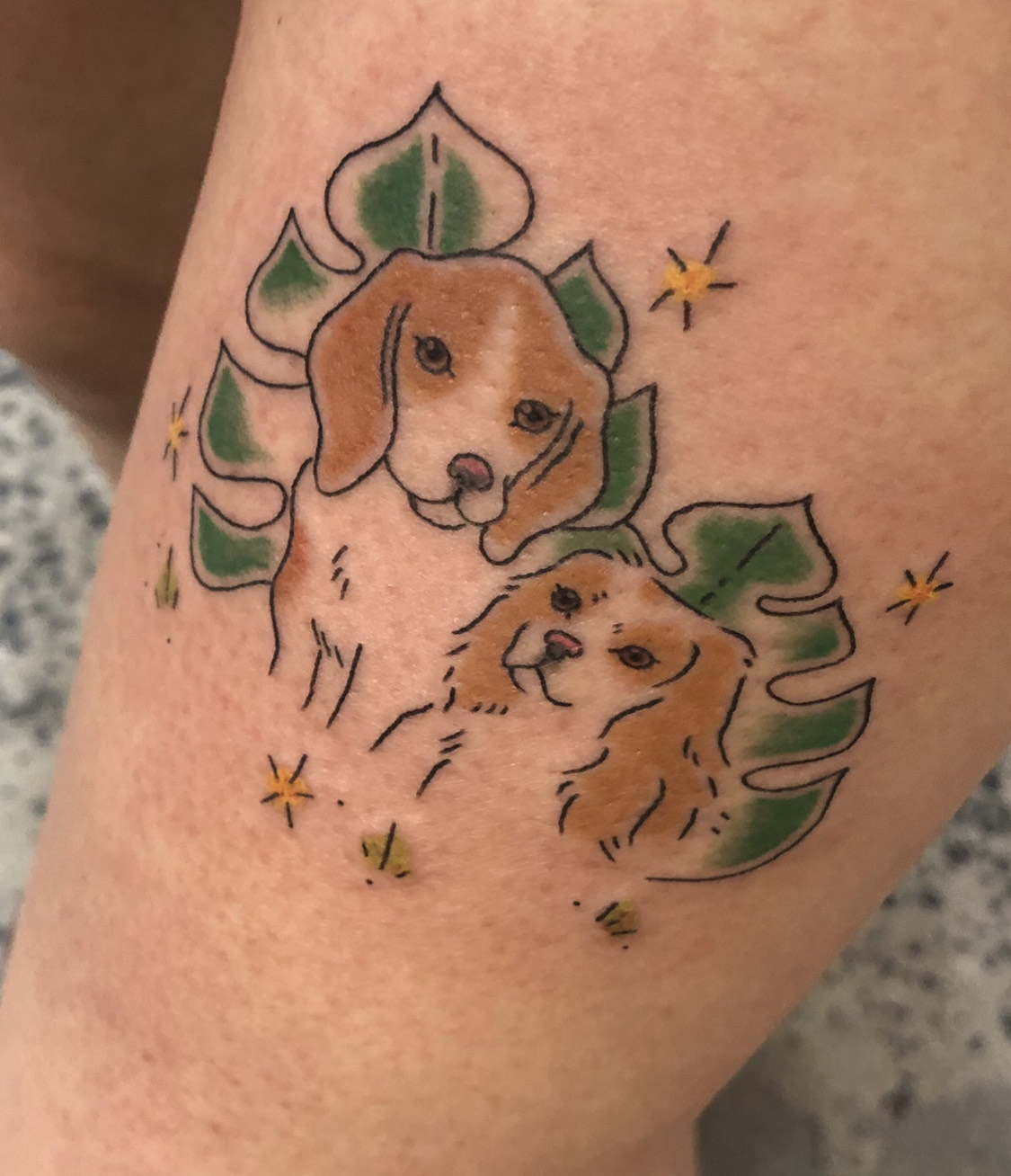 Noosh's tattoo of Molly, a Beagle and Sophie, a small Cavalier dog 