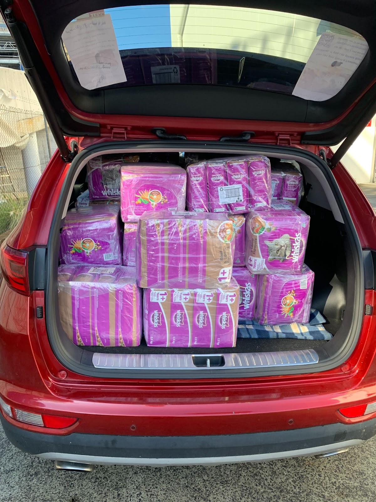 A car boot full of Whiskas food