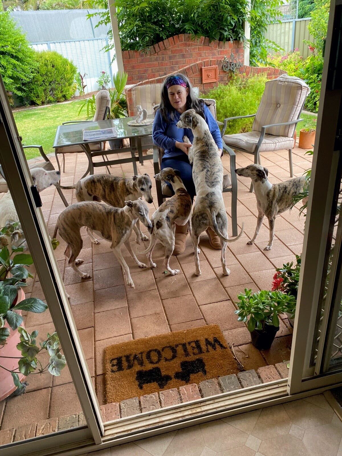 Felicity with all the dogs