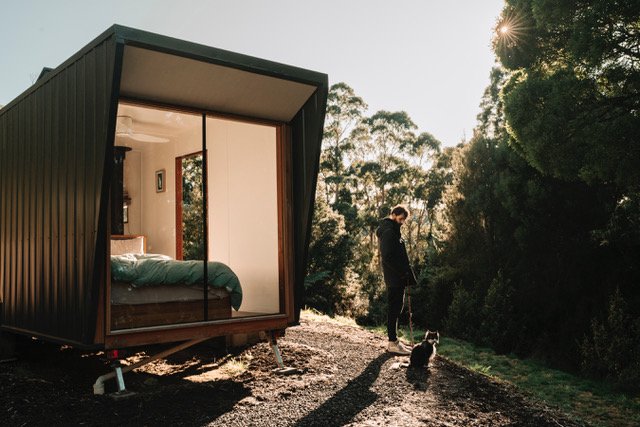 a cat and a man near a small outdoor airbnb