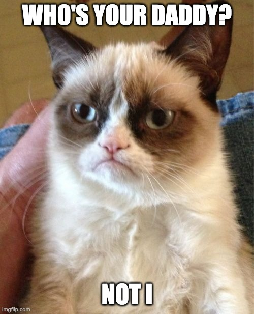 a meme of a grumpy cat