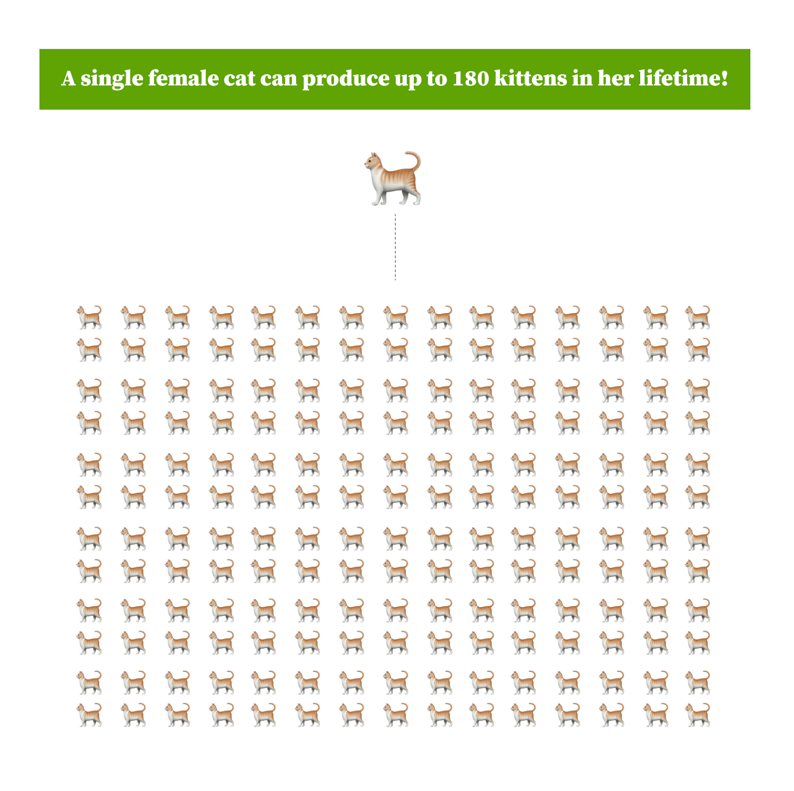 a graphic showing that a female cat can produce up to 180 kittens in her lifetime