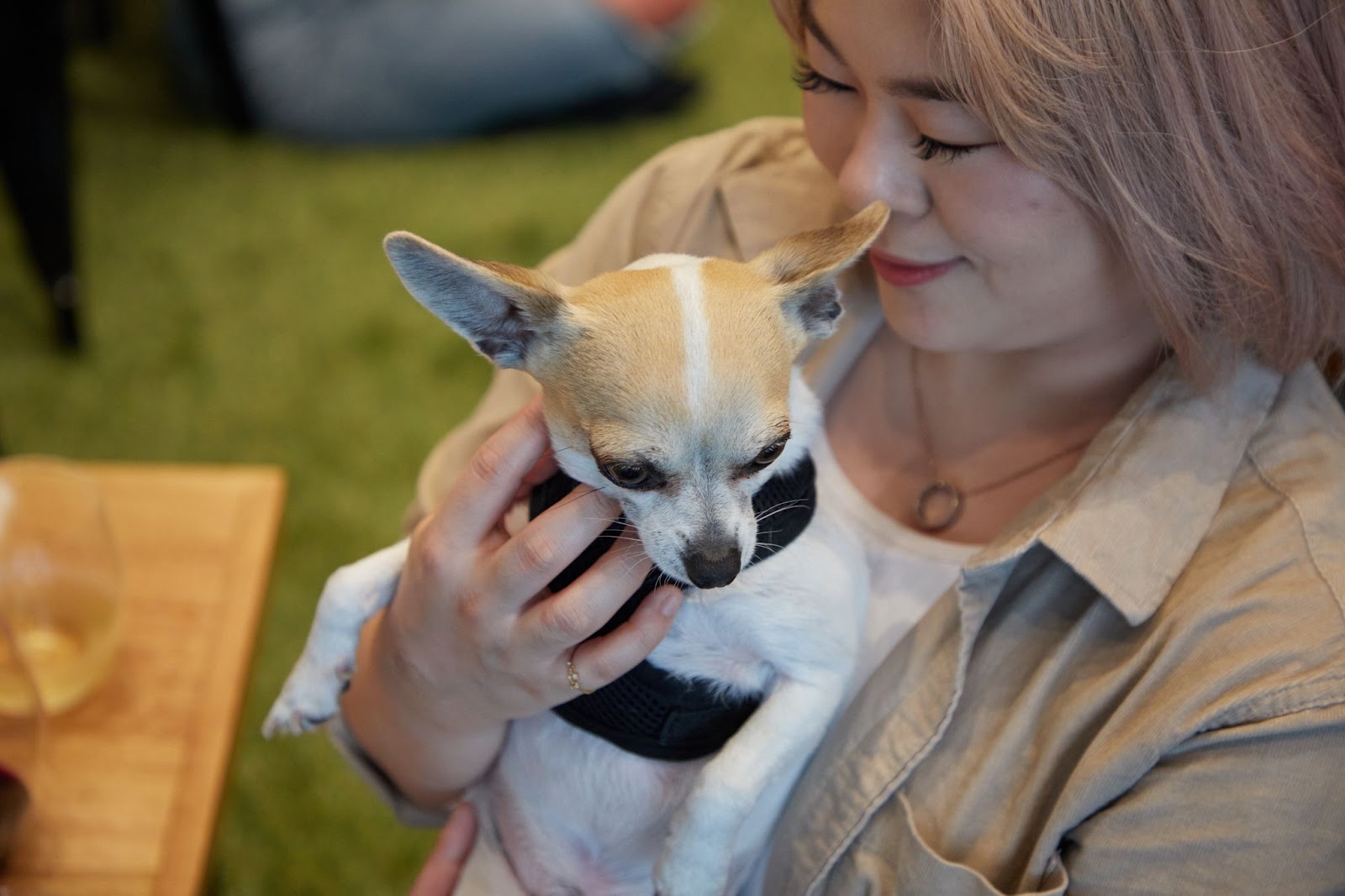 A person snuggling a tiny dog