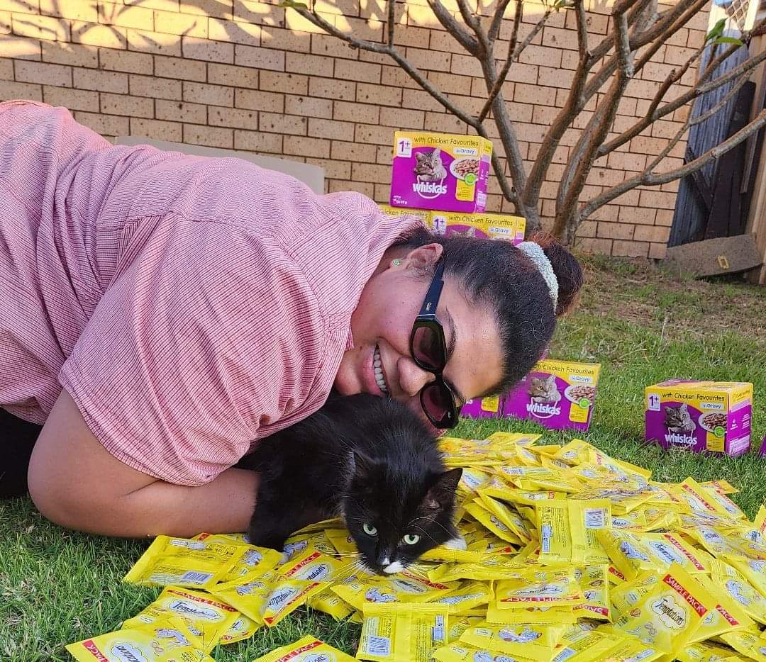 A happy person and a kitten with food donations