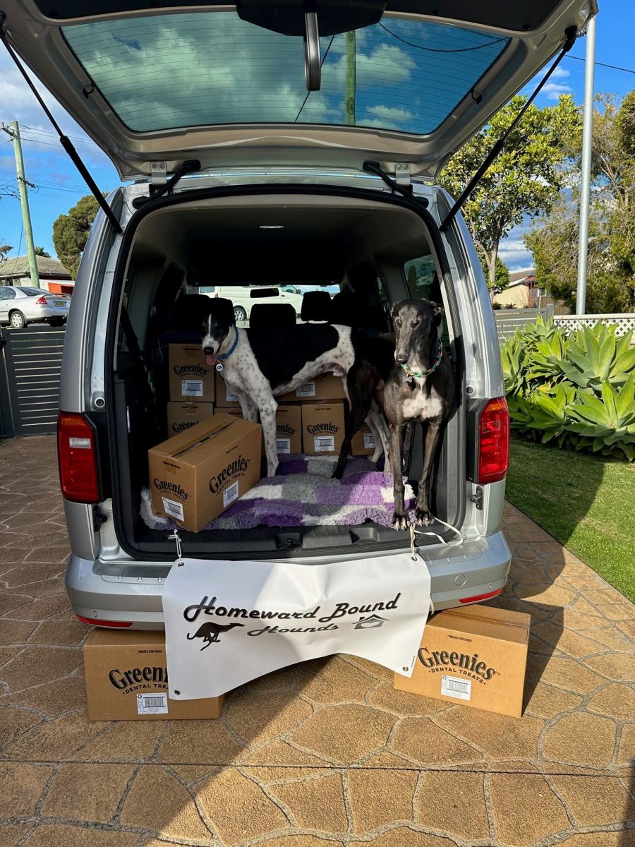 NSW & ACT organisations receive 53 pallets of pet food donations just in time for Pet Dental