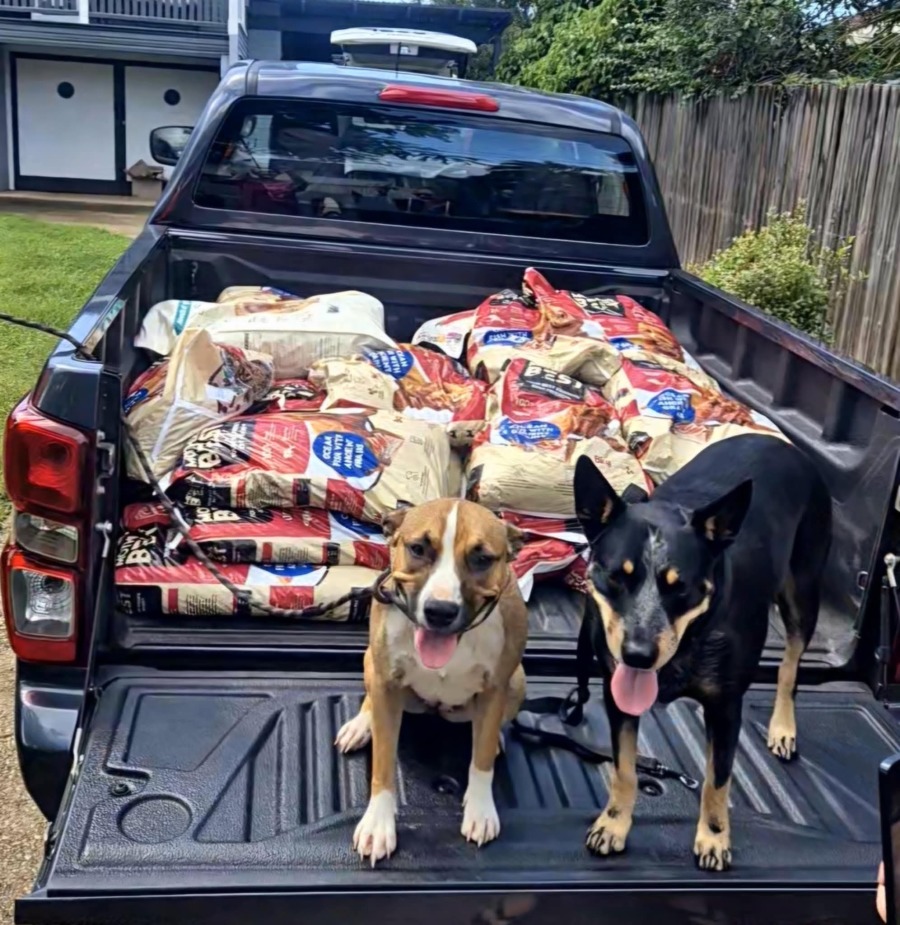 Dog Rescue Food A Mother’s Best Gift: Over $10,000 in Food for Rescue Pets Across ...