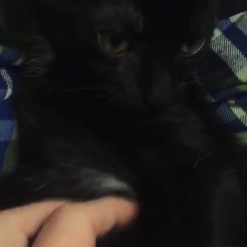 Ban 🦇💕