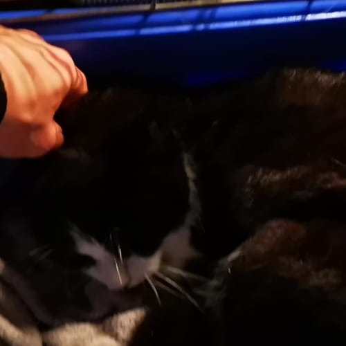 Toby 