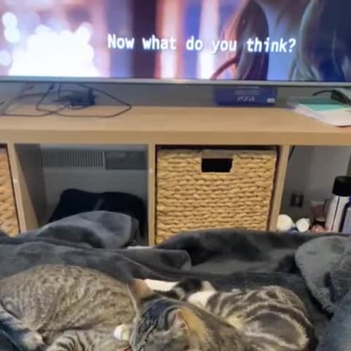 Luna and Dolce