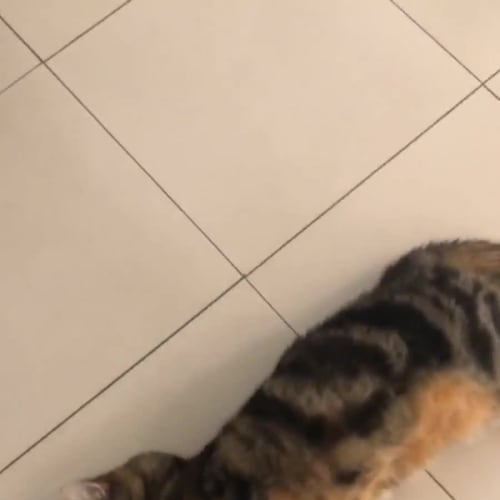 Charlie